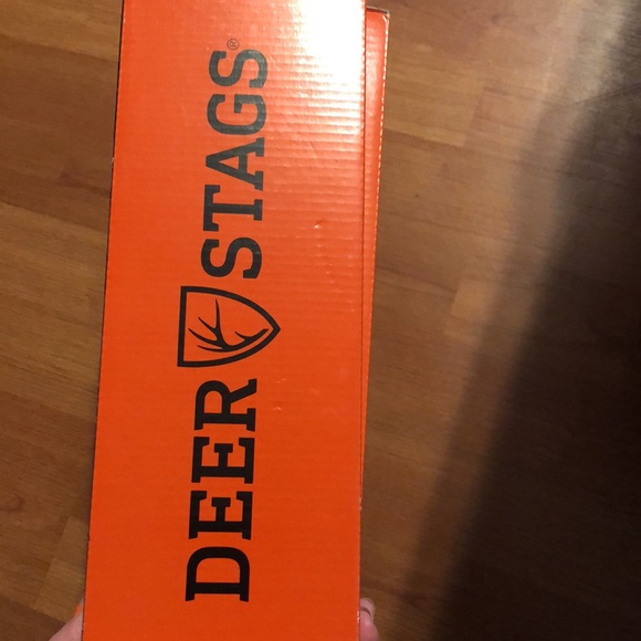 Shoes - Picture 2 of 5